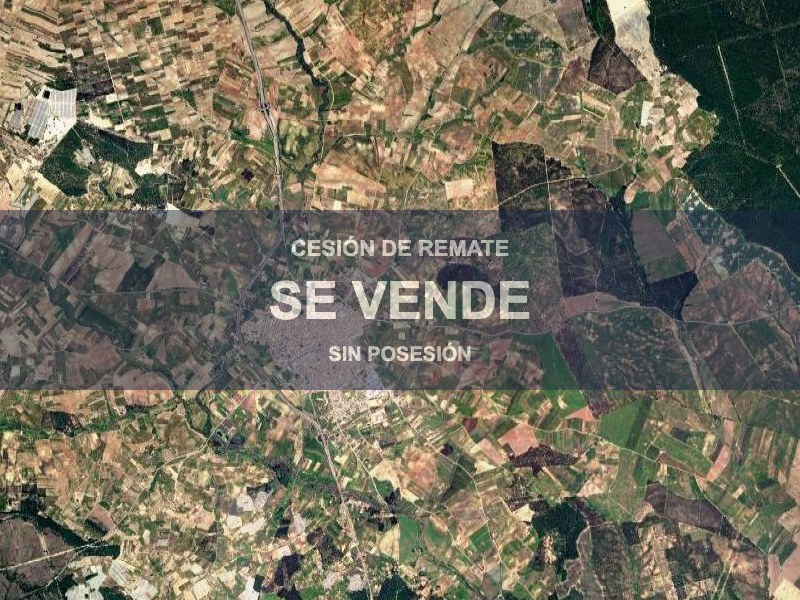 Vivienda en ALMONTE